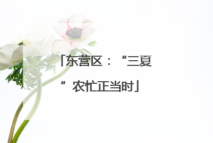 东营区：“三夏”农忙正当时