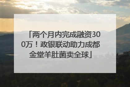 两个月内完成融资300万！政银联动助力成都金堂羊肚菌卖全球