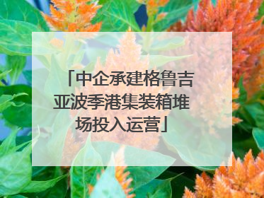 中企承建格鲁吉亚波季港集装箱堆场投入运营