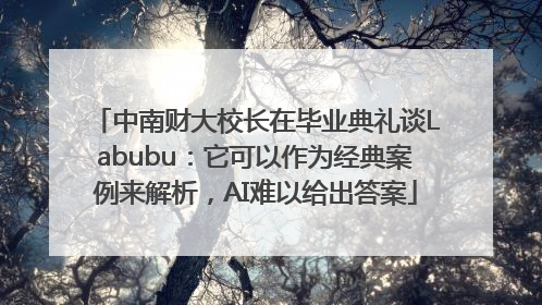 中南财大校长在毕业典礼谈Labubu：它可以作为经典案例来解析，AI难以给出答案