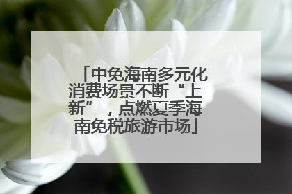 中免海南多元化消费场景不断“上新”，点燃夏季海南免税旅游市场
