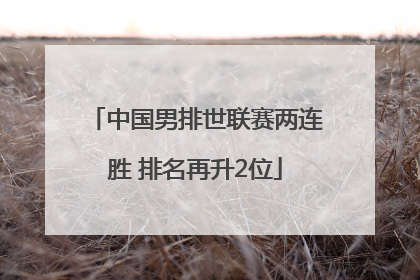 中国男排世联赛两连胜 排名再升2位
