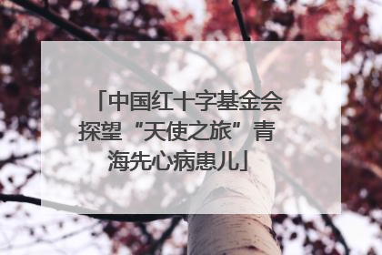 中国红十字基金会探望“天使之旅”青海先心病患儿
