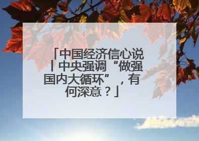 中国经济信心说丨中央强调“做强国内大循环”，有何深意？