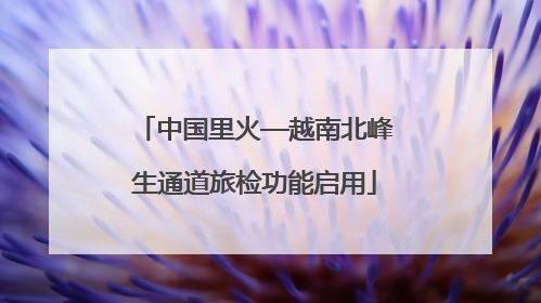 中国里火—越南北峰生通道旅检功能启用