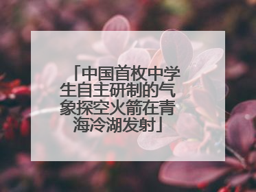 中国首枚中学生自主研制的气象探空火箭在青海冷湖发射