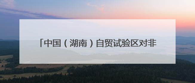 中国（湖南）自贸试验区对非合作创新成果发布 长沙片区对非贸易年均增长141%