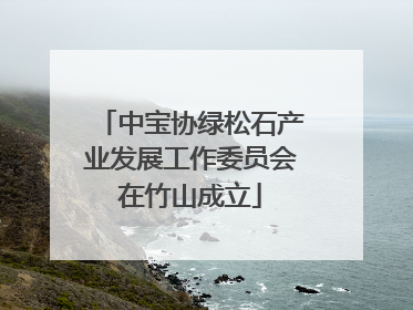 中宝协绿松石产业发展工作委员会在竹山成立