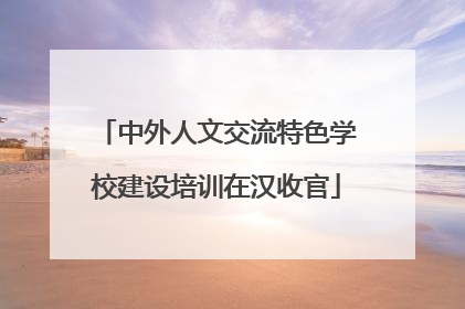 中外人文交流特色学校建设培训在汉收官