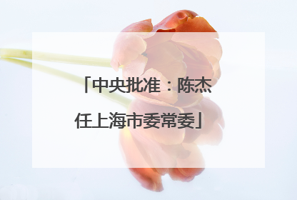 中央批准：陈杰任上海市委常委