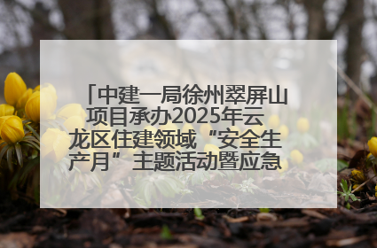 中建一局徐州翠屏山项目承办2025年云龙区住建领域“安全生产月”主题活动暨应急救援演练观摩会