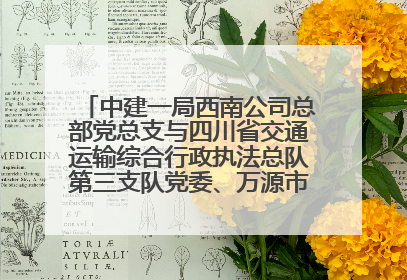 中建一局西南公司总部党总支与四川省交通运输综合行政执法总队第三支队党委、万源市草坝镇莲花院村党支部开展党建联建