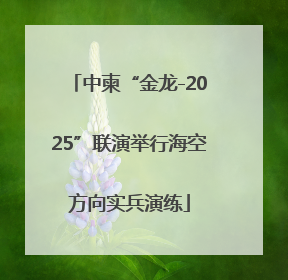 中柬“金龙-2025”联演举行海空方向实兵演练
