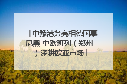 中豫港务亮相德国慕尼黑 中欧班列（郑州）深耕欧亚市场