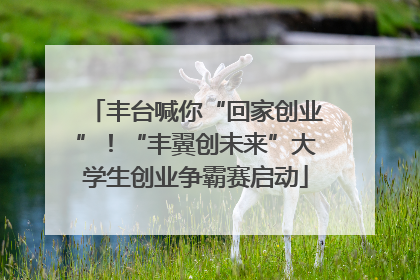 丰台喊你“回家创业”！“丰翼创未来”大学生创业争霸赛启动