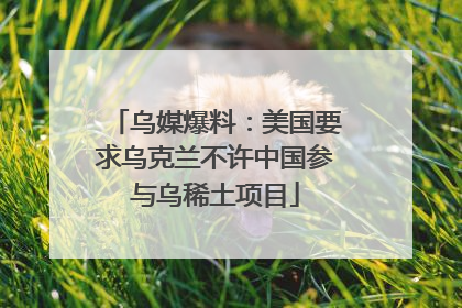 乌媒爆料：美国要求乌克兰不许中国参与乌稀土项目