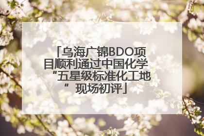 乌海广锦BDO项目顺利通过中国化学“五星级标准化工地”现场初评