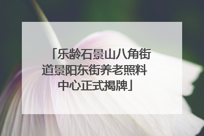 乐龄石景山八角街道景阳东街养老照料中心正式揭牌