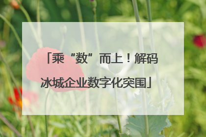 乘“数”而上！解码冰城企业数字化突围