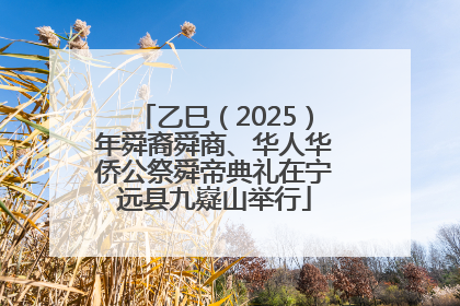 乙巳（2025）年舜裔舜商、华人华侨公祭舜帝典礼在宁远县九嶷山举行