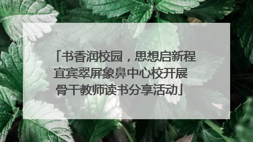 书香润校园，思想启新程 宜宾翠屏象鼻中心校开展骨干教师读书分享活动