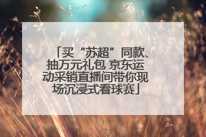 买“苏超”同款、抽万元礼包 京东运动采销直播间带你现场沉浸式看球赛