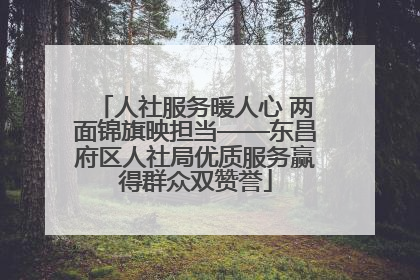 人社服务暖人心 两面锦旗映担当——东昌府区人社局优质服务赢得群众双赞誉