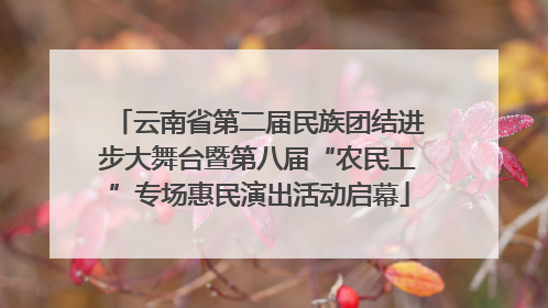 云南省第二届民族团结进步大舞台暨第八届“农民工”专场惠民演出活动启幕