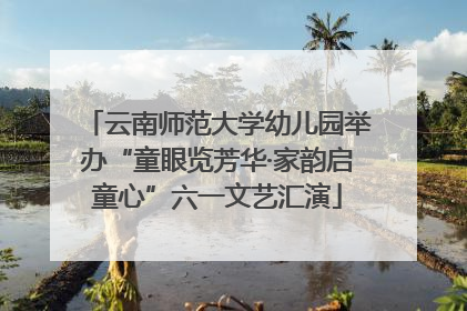 云南师范大学幼儿园举办“童眼览芳华·家韵启童心”六一文艺汇演
