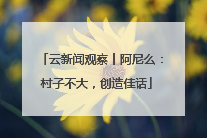 云新闻观察︱阿尼么：村子不大，创造佳话