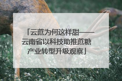 云蔗为何这样甜——云南省以科技助推蔗糖产业转型升级观察