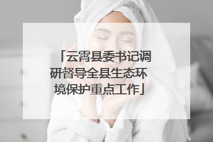 云霄县委书记调研督导全县生态环境保护重点工作