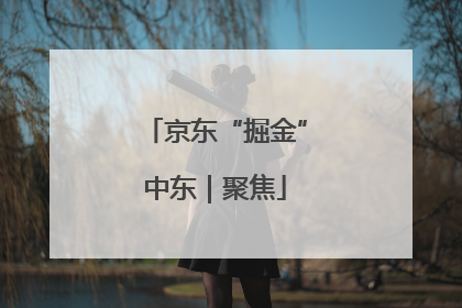 京东“掘金”中东｜聚焦