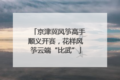 京津冀风筝高手顺义开赛，花样风筝云端“比武”