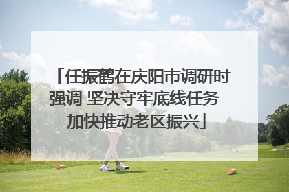 任振鹤在庆阳市调研时强调 坚决守牢底线任务 加快推动老区振兴