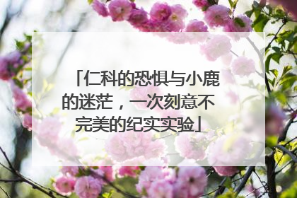 仁科的恐惧与小鹿的迷茫，一次刻意不完美的纪实实验