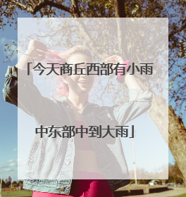 今天商丘西部有小雨 中东部中到大雨