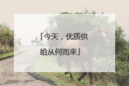今天，优质供给从何而来