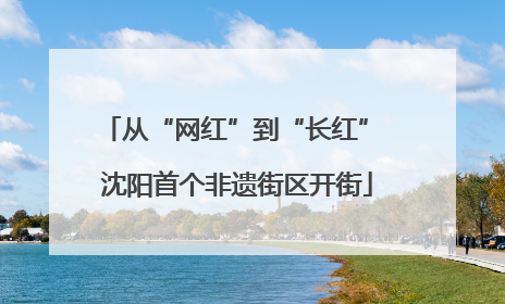 从“网红”到“长红” 沈阳首个非遗街区开街