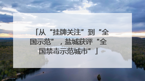 从“挂牌关注”到“全国示范”，盐城获评“全国禁毒示范城市”