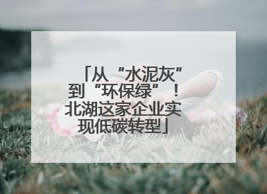 从“水泥灰”到“环保绿”！北湖这家企业实现低碳转型
