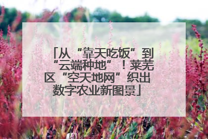 从“靠天吃饭”到“云端种地”！莱芜区“空天地网”织出数字农业新图景