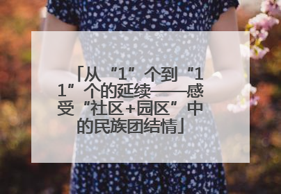 从“1”个到“11”个的延续——感受“社区+园区”中的民族团结情