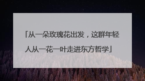 从一朵玫瑰花出发，这群年轻人从一花一叶走进东方哲学