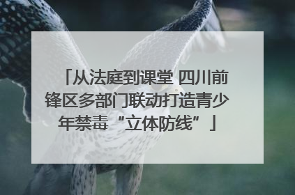 从法庭到课堂 四川前锋区多部门联动打造青少年禁毒“立体防线”