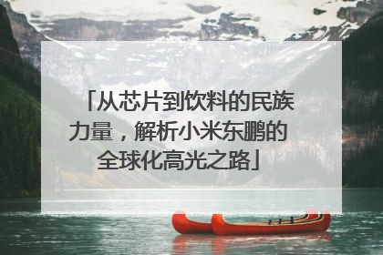 从芯片到饮料的民族力量，解析小米东鹏的全球化高光之路