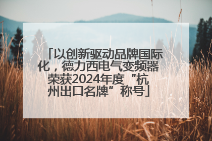 以创新驱动品牌国际化，德力西电气变频器荣获2024年度“杭州出口名牌”称号