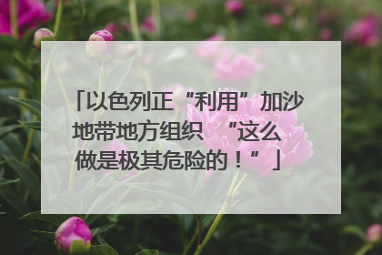 以色列正“利用”加沙地带地方组织  “这么做是极其危险的！”