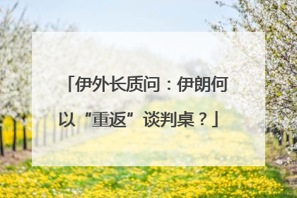 伊外长质问：伊朗何以“重返”谈判桌？
