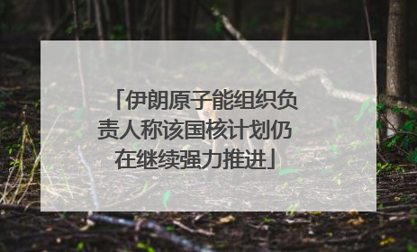伊朗原子能组织负责人称该国核计划仍在继续强力推进